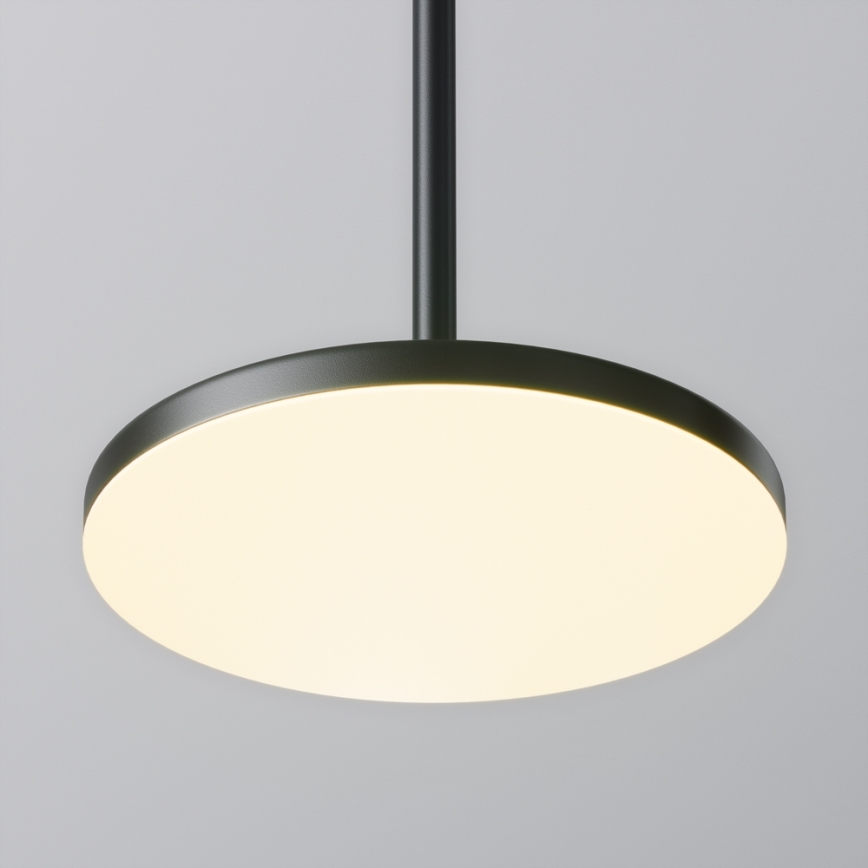 Maytoni P076PL-L12W3K-B - LED luster na sajli PLATO LED/12W/230V 3000K crno