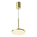Maytoni P076PL-L12W3K-BS - LED luster na sajli PLATO LED/12W/230V 3000K zlatna