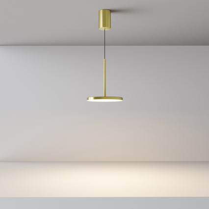 Maytoni P076PL-L12W3K-BS - LED luster na sajli PLATO LED/12W/230V 3000K zlatna