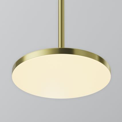 Maytoni P076PL-L12W3K-BS - LED luster na sajli PLATO LED/12W/230V 3000K zlatna