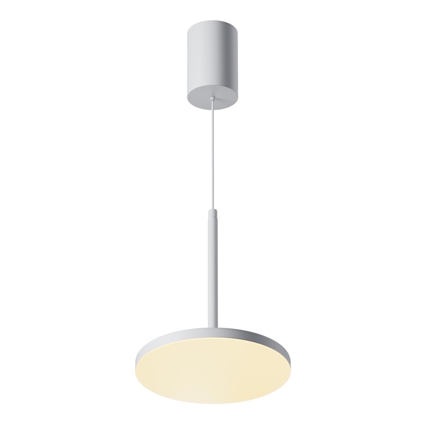 Maytoni P076PL-L12W3K-W - LED luster na sajli PLATO LED/12W/230V 3000K bela