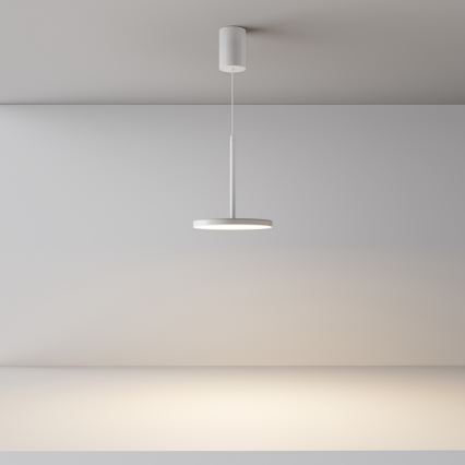 Maytoni P076PL-L12W3K-W - LED luster na sajli PLATO LED/12W/230V 3000K bela