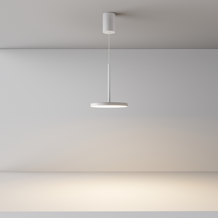 Maytoni P076PL-L12W3K-W - LED luster na sajli PLATO LED/12W/230V 3000K bela