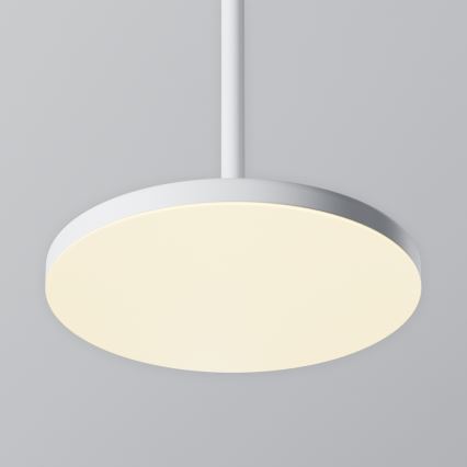 Maytoni P076PL-L12W3K-W - LED luster na sajli PLATO LED/12W/230V 3000K bela