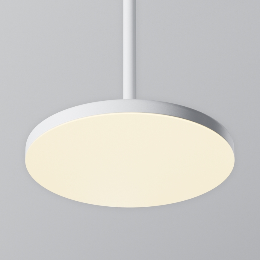 Maytoni P076PL-L12W3K-W - LED luster na sajli PLATO LED/12W/230V 3000K bela