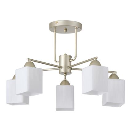 Nadgradni luster 5xE27/60W/230V