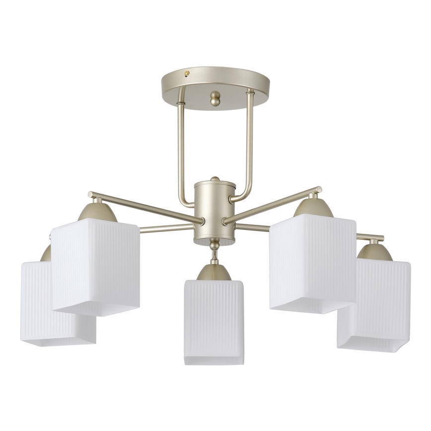 Nadgradni luster 5xE27/60W/230V