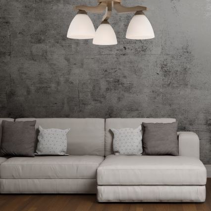Nadgradni luster ADRIANO 3xE27/60W/230V bukva
