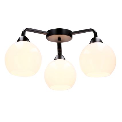 Nadgradni luster CALDERA 3xE27/60W/230V crno