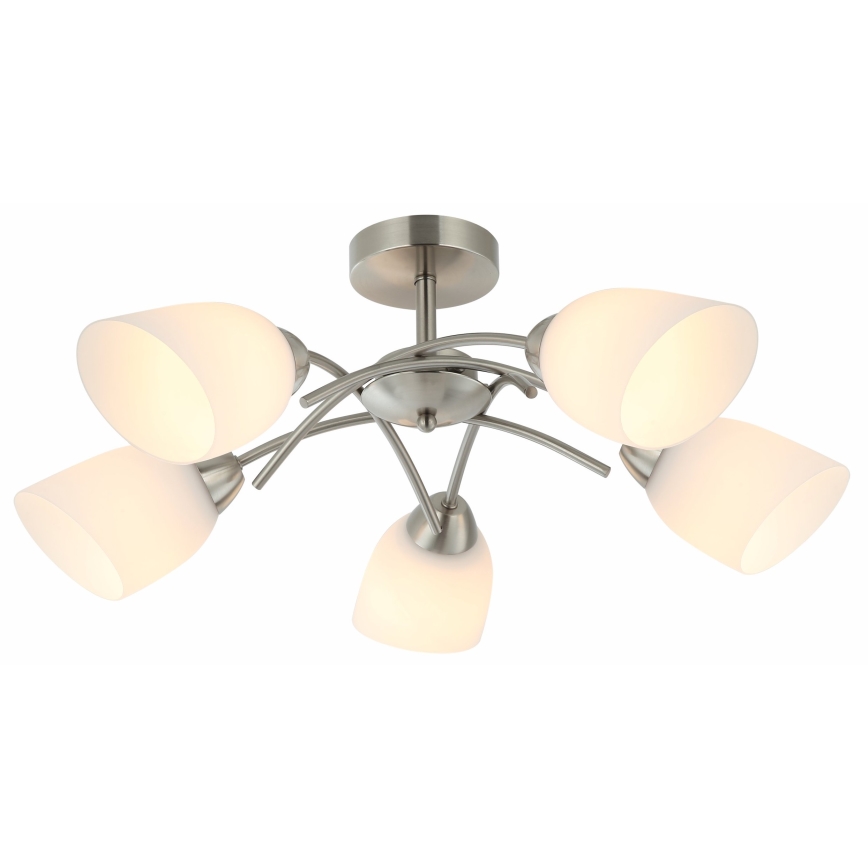Nadgradni luster DONNA 5xE27/60W/230V nikl