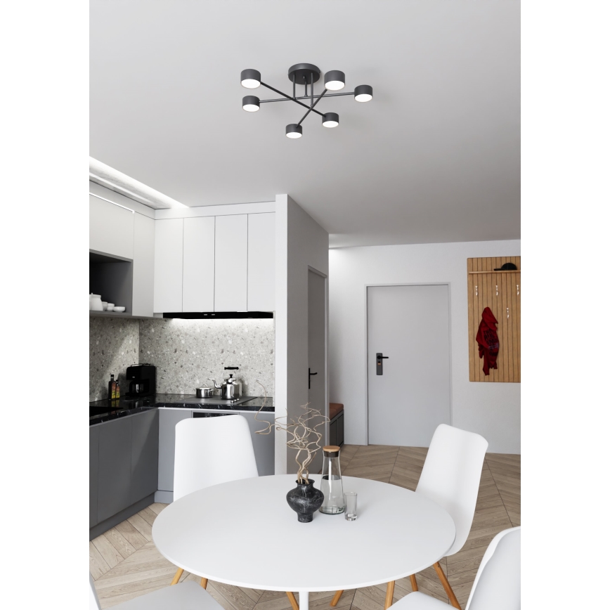 Nadgradni luster HALO 6xGX53/8W/230V crno