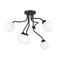 Nadgradni luster HOLLY 6xG9/5W/230V crno