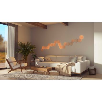 Nanoleaf - Komplet 13x prigušiva LED panel HEXAGONS LED/2W/230V Wi-Fi