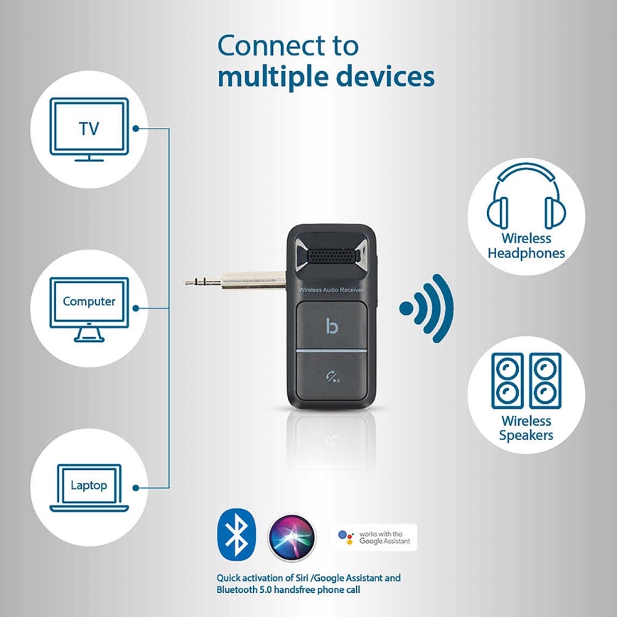 Prenosni prijemnik Bluetooth AUX