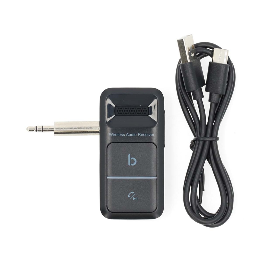 Prenosni prijemnik Bluetooth AUX