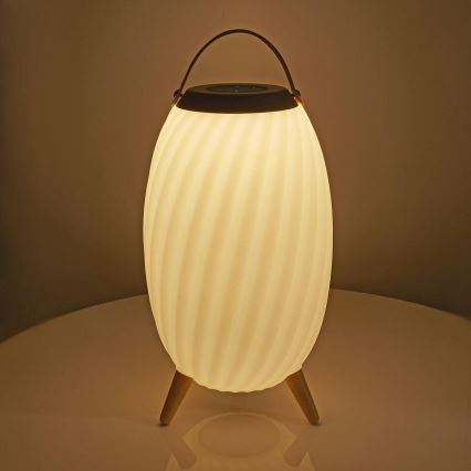 LED RGB Punjiva stona lampa sa zvučnikom 60W/2200 mAh IPX5