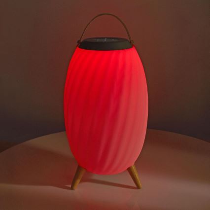 LED RGB Punjiva stona lampa sa zvučnikom 60W/2200 mAh IPX5