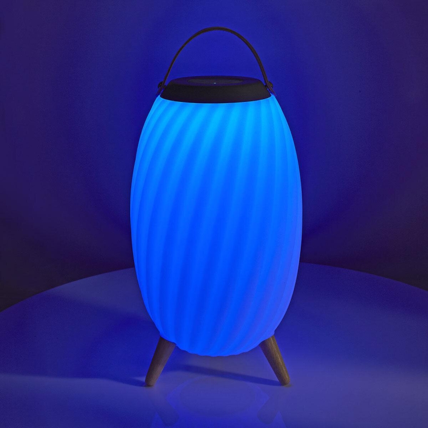 LED RGB Punjiva stona lampa sa zvučnikom 60W/2200 mAh IPX5