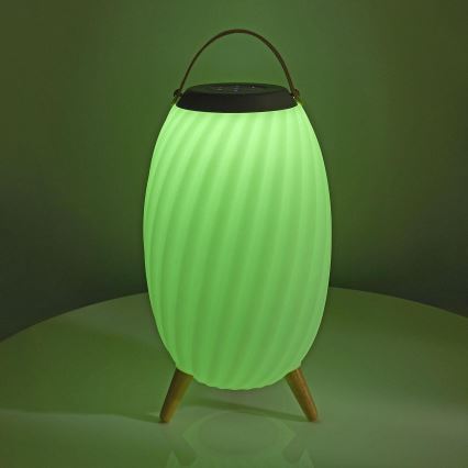 LED RGB Punjiva stona lampa sa zvučnikom 60W/2200 mAh IPX5