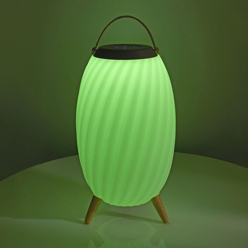 LED RGB Punjiva stona lampa sa zvučnikom 60W/2200 mAh IPX5
