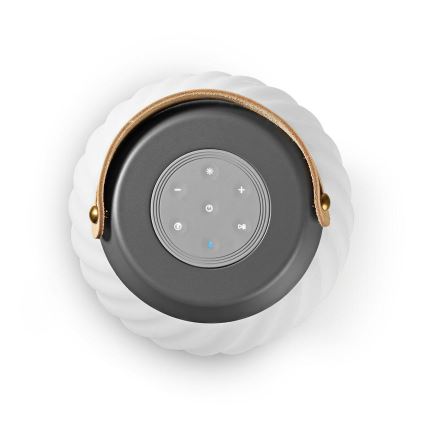 LED RGB Punjiva stona lampa sa zvučnikom 60W/2200 mAh IPX5