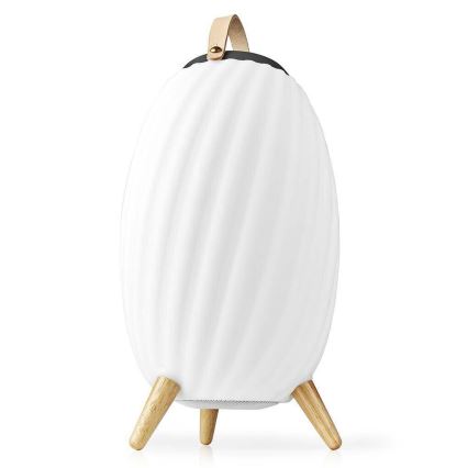 LED RGB Punjiva stona lampa sa zvučnikom 60W/2200 mAh IPX5
