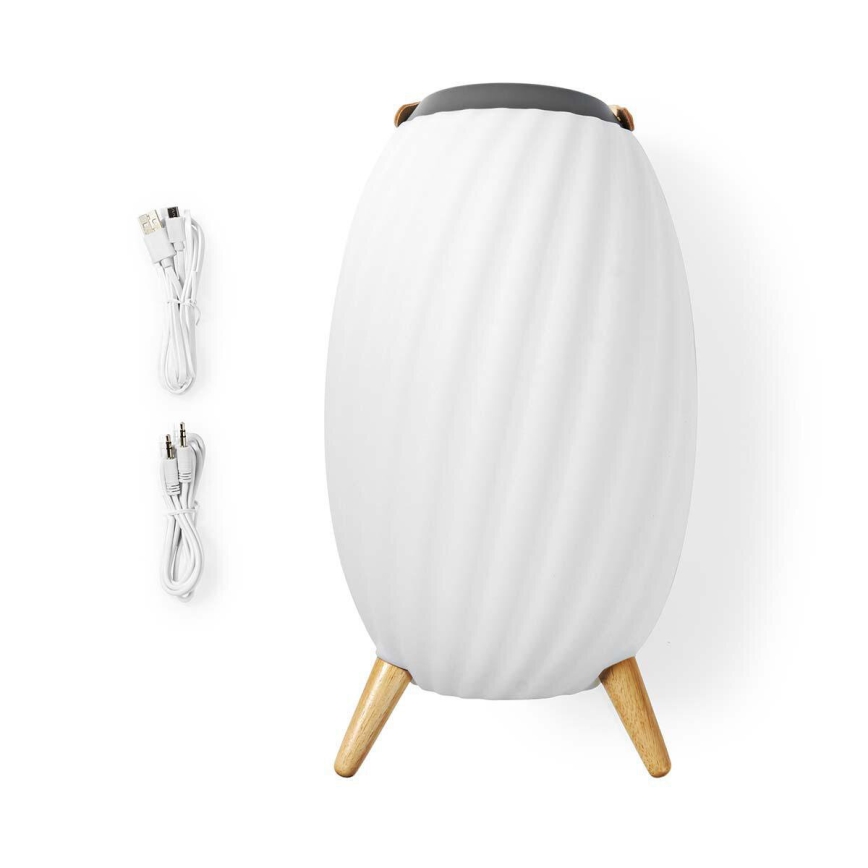 LED RGB Punjiva stona lampa sa zvučnikom 60W/2200 mAh IPX5