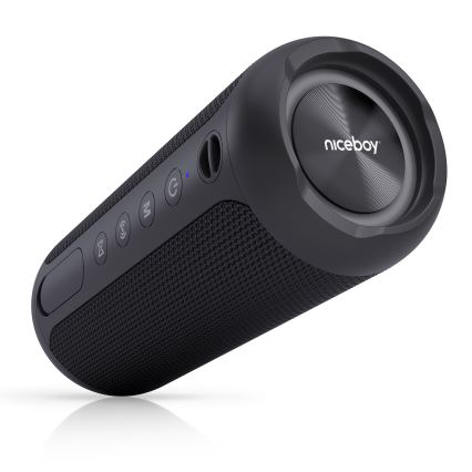 Niceboy Polaris - LED Bežični zvučnik sa mikrofonom 30W/4000 mAh IPX7 crno