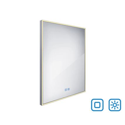 NIMCO ZP 13002VX - LED Ogledalo za kupaonicu sa prigušivim sa pozadinskim osvetljenjem LED/41W/230V 3000-6500K 80x60 cm IP44