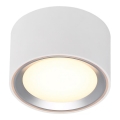 Nordlux - LED Prigušiva plafonjera FALLON LED/5,5W/230V 2700K pr. 10 cm bela