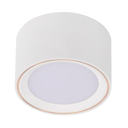 Nordlux - LED Reflektorska lampa FALLON LED/5,5W/230V bela