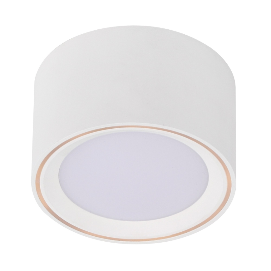 Nordlux - LED Reflektorska lampa FALLON LED/5,5W/230V bela
