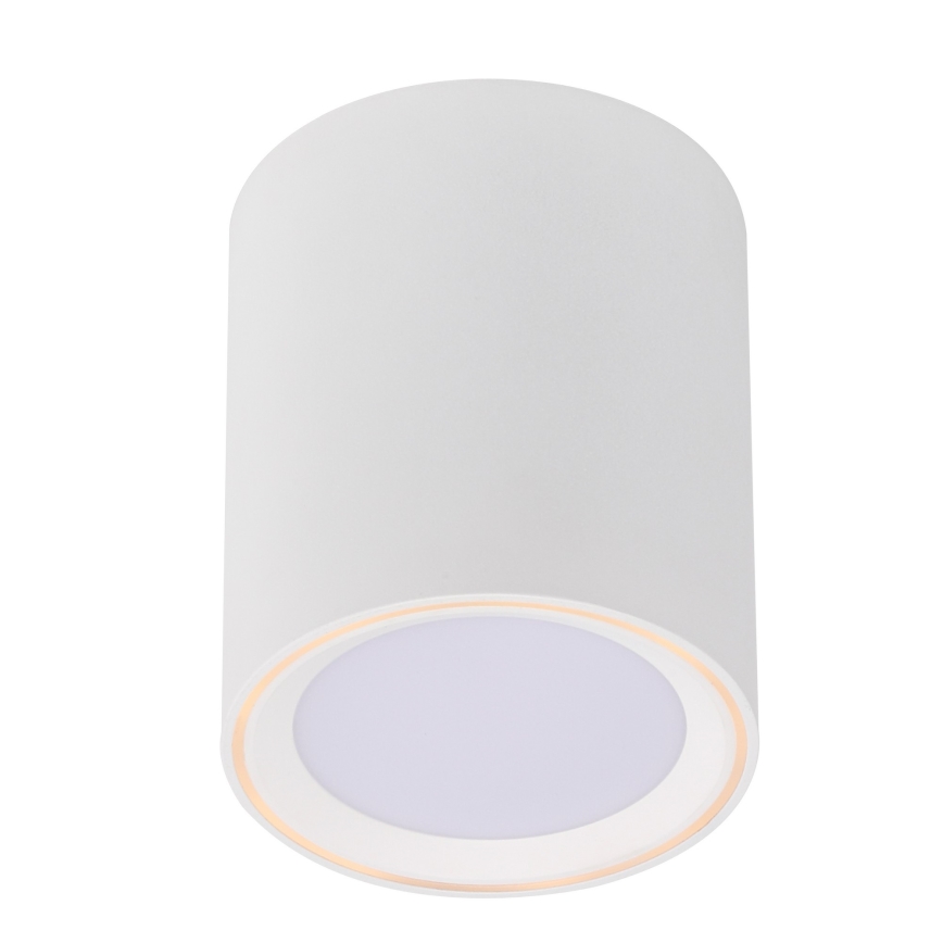 Nordlux - LED Reflektorska lampa FALLON LONG LED/5,5W/230V bela