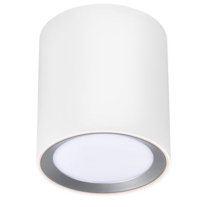 Nordlux - LED Reflektorska lampa za kupatilo LANDON LED/6,5W/230V IP44 bela