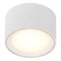 Nordlux - LED spot svetiljka FALLON LED/5,5W/230V bela