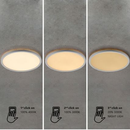 Nordlux - LED prigušiva kupatilska plafonska svetiljka OJA LED/14,5W/230V 3000/4000K IP54 Ø 30 cm