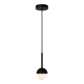 Nordlux - Luster na kablu CONTINA 1xG9/5W/230V crna