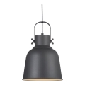Nordlux - Luster na sajli ADRIAN 1xE27/40W/230V pr. 25 cm antracit