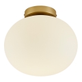 Nordlux - Plafonjera ALTON 1xE27/25W/230V