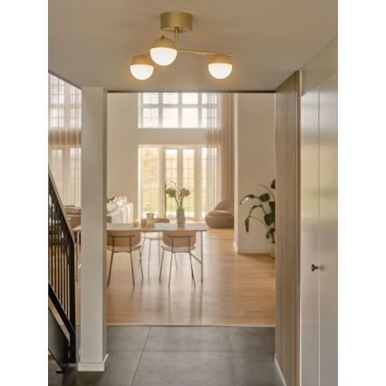 Nordlux - Plafonski luster CONTINA 3xG9/5W/230V mesing