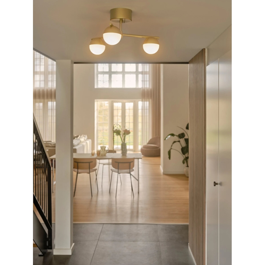 Nordlux - Plafonski luster CONTINA 3xG9/5W/230V mesing