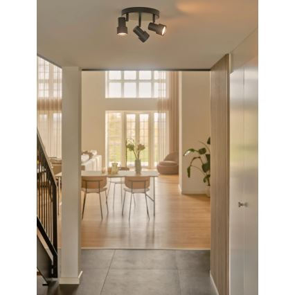 Nordlux - Reflektorska lampa BOSTON 3xGU10/5W/230V crno