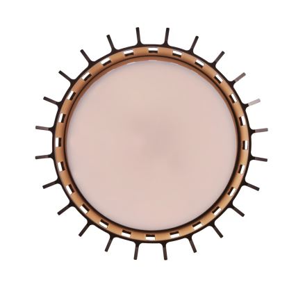 Nordlux - Spoljašnja plafonjera ALUDRA 1xE27/15W/230V pr. 12,4 cm braon