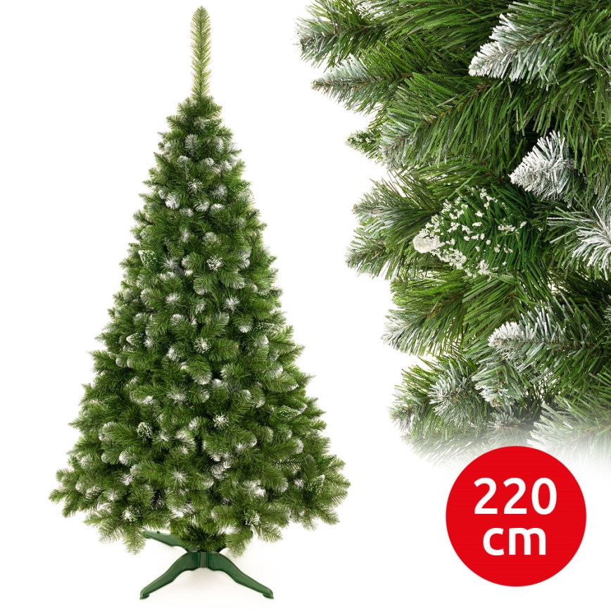 Novogodišnja jelka 220 cm bor