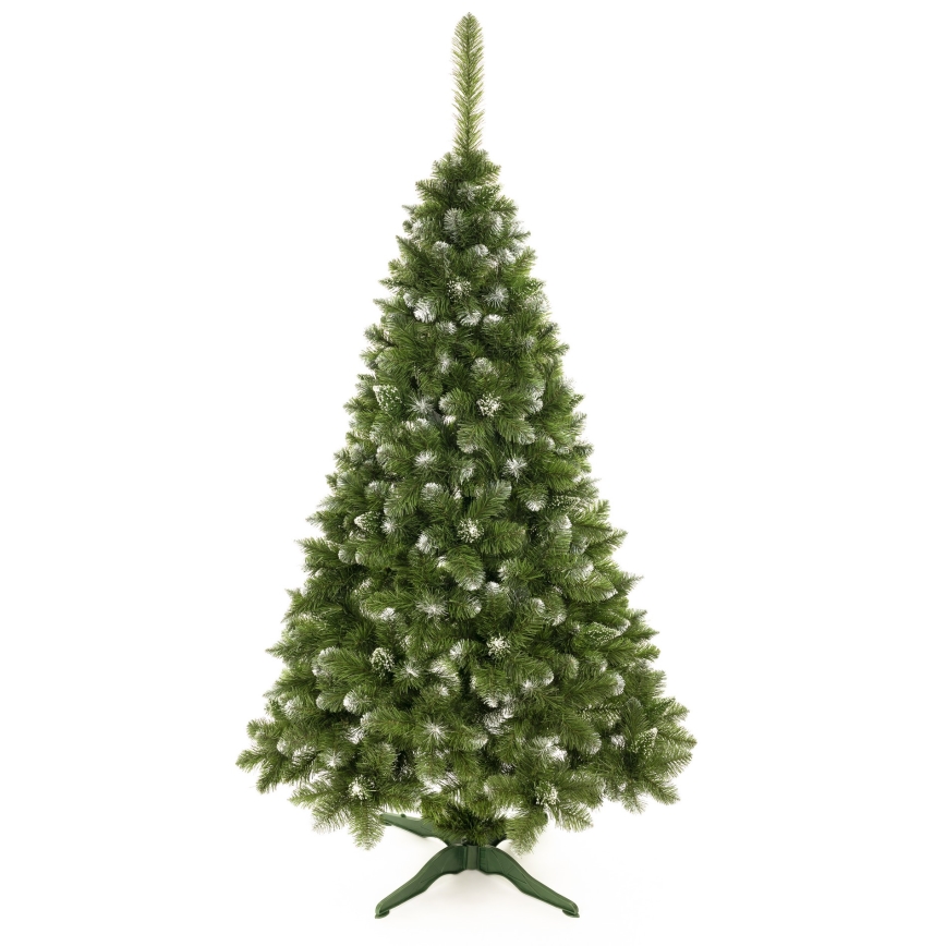 Novogodišnja jelka 220 cm bor