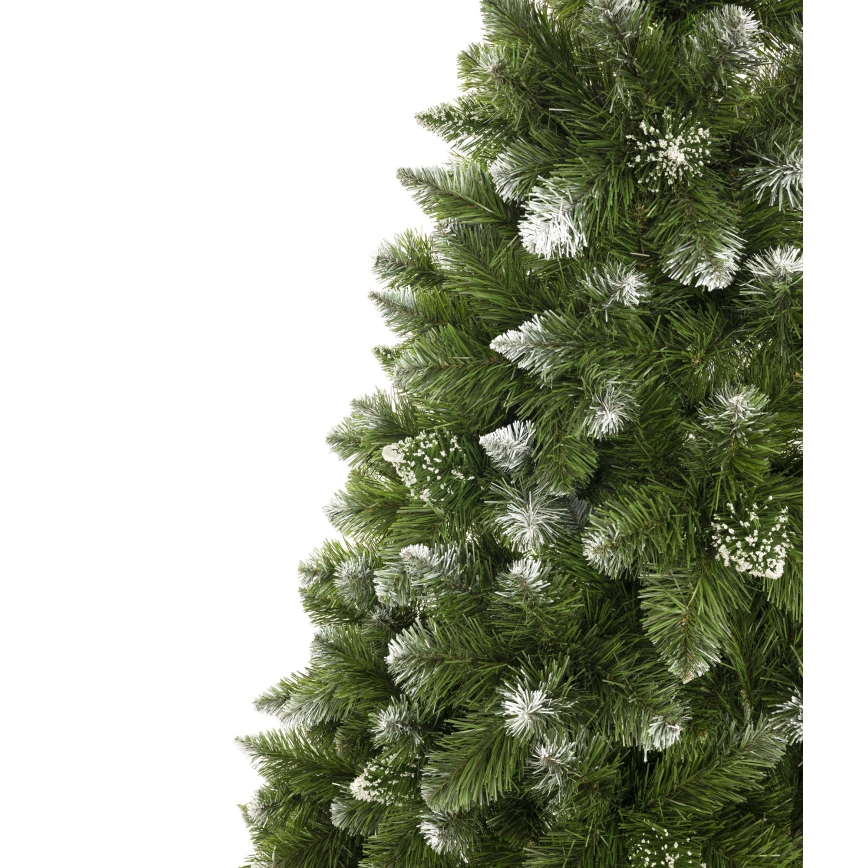 Novogodišnja jelka 220 cm bor