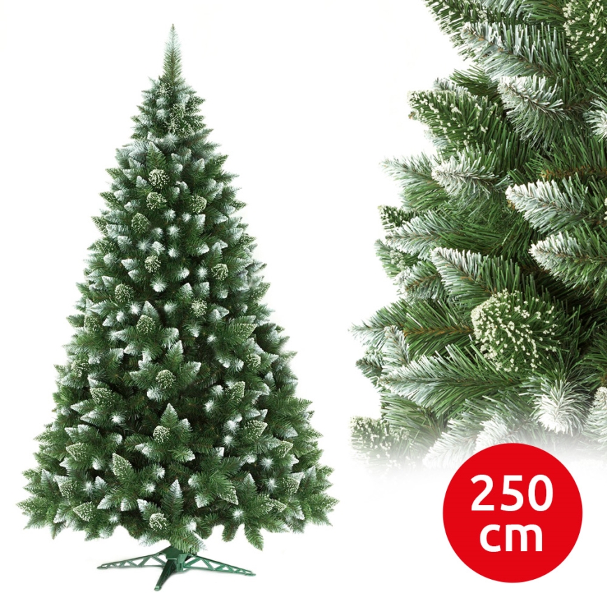 Novogodišnja jelka 250 cm bor