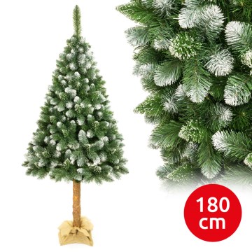 novogodišnja jelka na deblu 180 cm bor