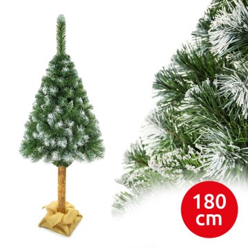 novogodišnja jelka na deblu 180 cm bor