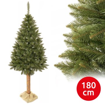 Novogodišnja jelka na deblu 180 cm smreka